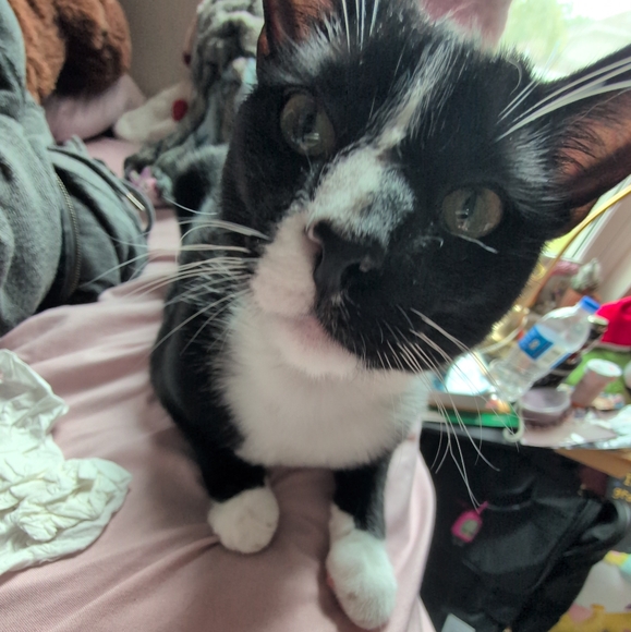 ✌♥🇺🇸♥🇺🇸♥🇺🇸♥✌ - Picture 13 of 14